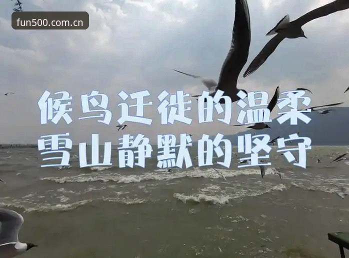 彩票娱乐的平静水面下，正在发生一场用户习惯的静默迁徙